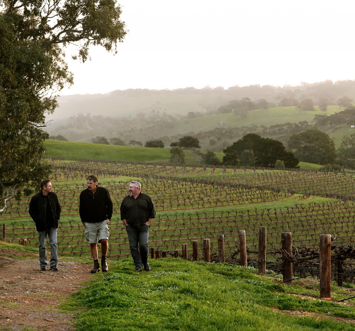 Hickinbotham winemakers walking near vineyards